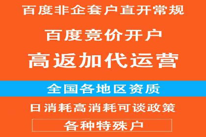 轻松掌握百度包年竞价：成功案例展示